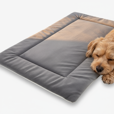 Transform Your Pet's Winter into a Cozy Retreat