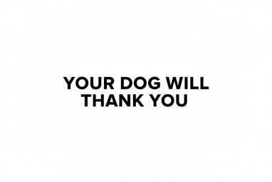 white background black text that says your dog will thank you